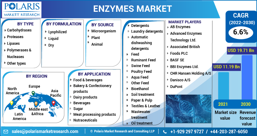 Enzymes Market Share, Size, Trends